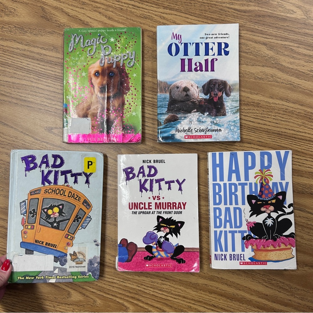 Children's Chapter Book Collection of 5 Books